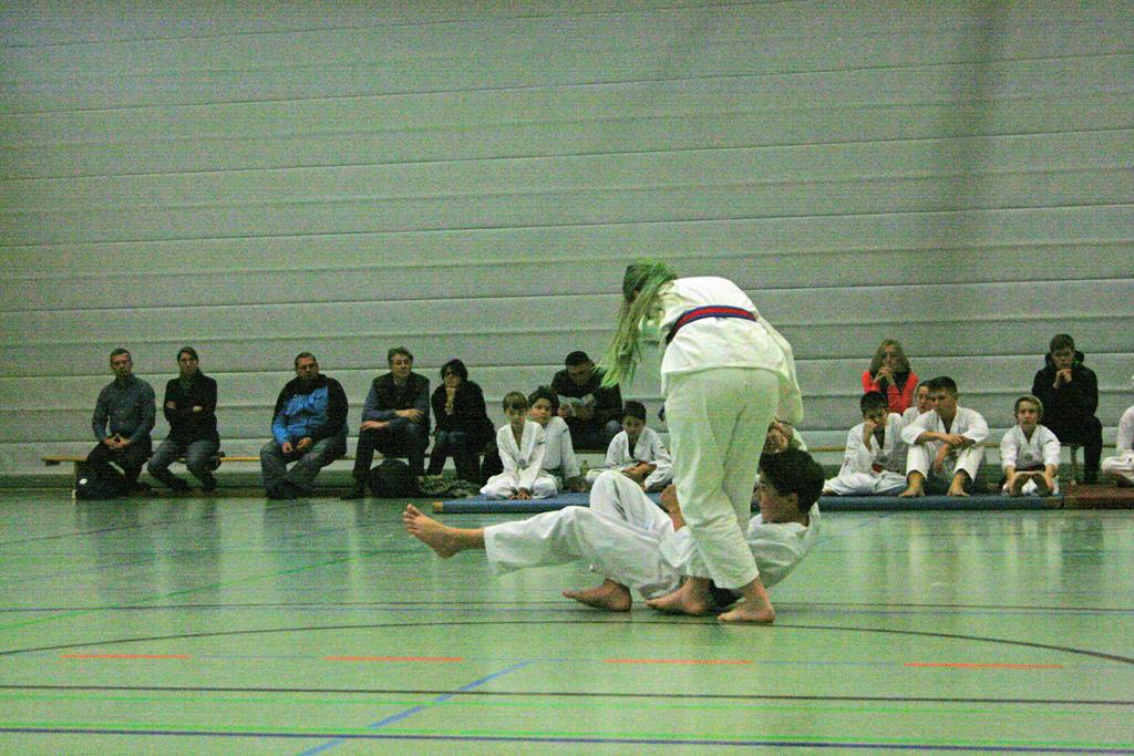 IMG_2973_bearbeitet-1