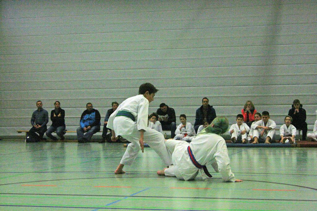 IMG_2976_bearbeitet-1