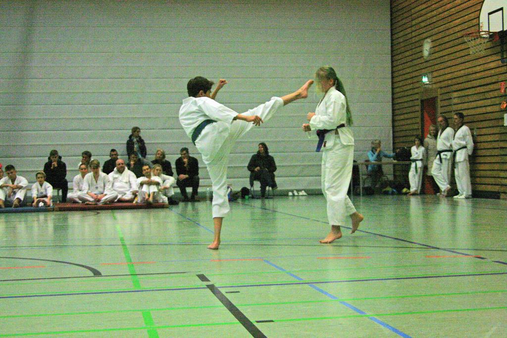 IMG_2981_bearbeitet-1