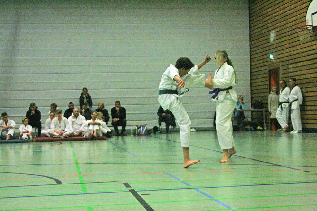 IMG_2984_bearbeitet-1