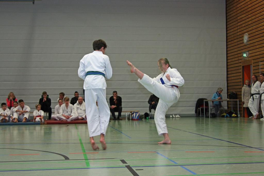 IMG_2985_bearbeitet-1