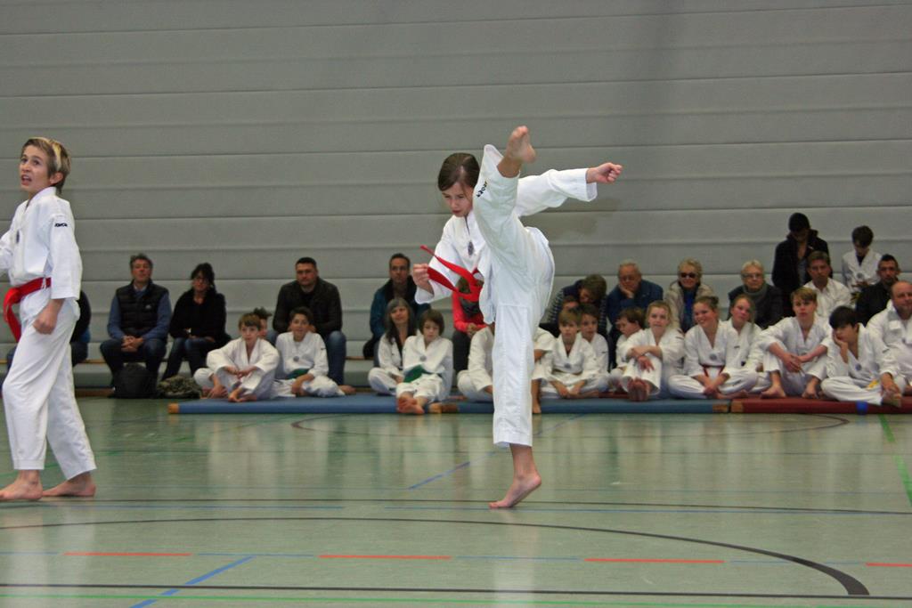 IMG_3011_bearbeitet-1