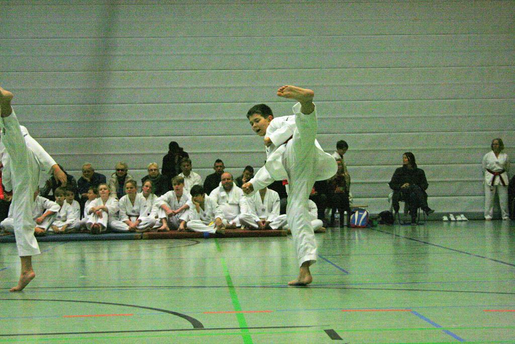 IMG_3012_bearbeitet-1