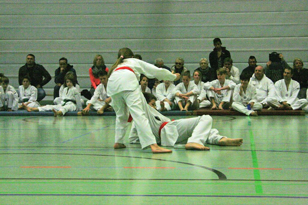 IMG_3062_bearbeitet-1