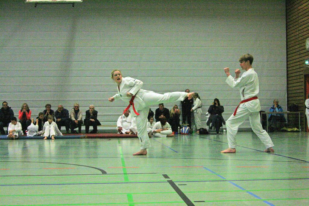 IMG_3115_bearbeitet-1