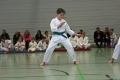 IMG_2884_bearbeitet-1