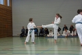 IMG_2929_bearbeitet-1