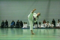 IMG_2946_bearbeitet-1