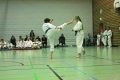 IMG_2981_bearbeitet-1