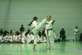 IMG_3029_bearbeitet-1