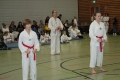 IMG_4054