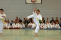IMG_8809_bearbeitet-1.jpg