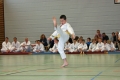 IMG_8810_bearbeitet-1.jpg