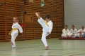 IMG_8811_bearbeitet-1.jpg