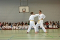 IMG_8973_bearbeitet-1.jpg