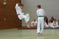 IMG_9029_bearbeitet-1.jpg