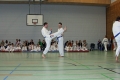 IMG_9086_bearbeitet-1.jpg