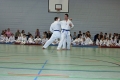 IMG_9100_bearbeitet-1.jpg