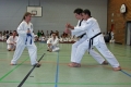 IMG_9111_bearbeitet-1.jpg