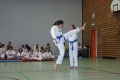 IMG_9160_bearbeitet-1.jpg