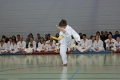 IMG_6195_bearbeitet-1