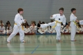 IMG_6224_bearbeitet-1