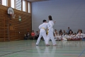IMG_6261_bearbeitet-1