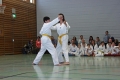IMG_6267_bearbeitet-1