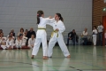 IMG_6393_bearbeitet-1