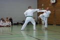 IMG_6469_bearbeitet-1