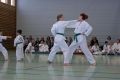 IMG_6557_bearbeitet-1