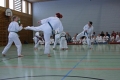 IMG_6563_bearbeitet-1