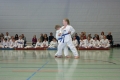 IMG_6641_bearbeitet-1