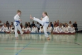 IMG_6650_bearbeitet-1