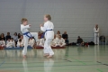 IMG_6653_bearbeitet-1