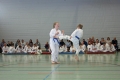 IMG_6663_bearbeitet-1