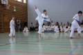 IMG_6692_bearbeitet-1