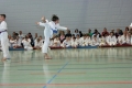 IMG_6693_bearbeitet-1