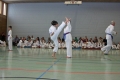 IMG_6720_bearbeitet-1