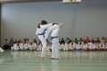 IMG_6725_bearbeitet-1