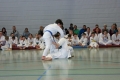 IMG_6747_bearbeitet-1