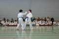 IMG_6759_bearbeitet-1