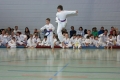 IMG_6772_bearbeitet-1
