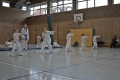 IMG_1671_bearbeitet-1