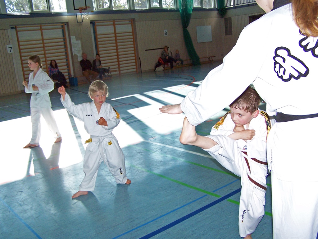 100_8034_bearbeitet-1