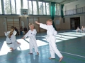 100_8014_bearbeitet-1