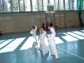 100_8015_bearbeitet-1