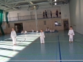 100_8028_bearbeitet-1