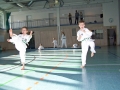 100_8063_bearbeitet-1