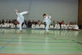 IMG_7407_bearbeitet-1